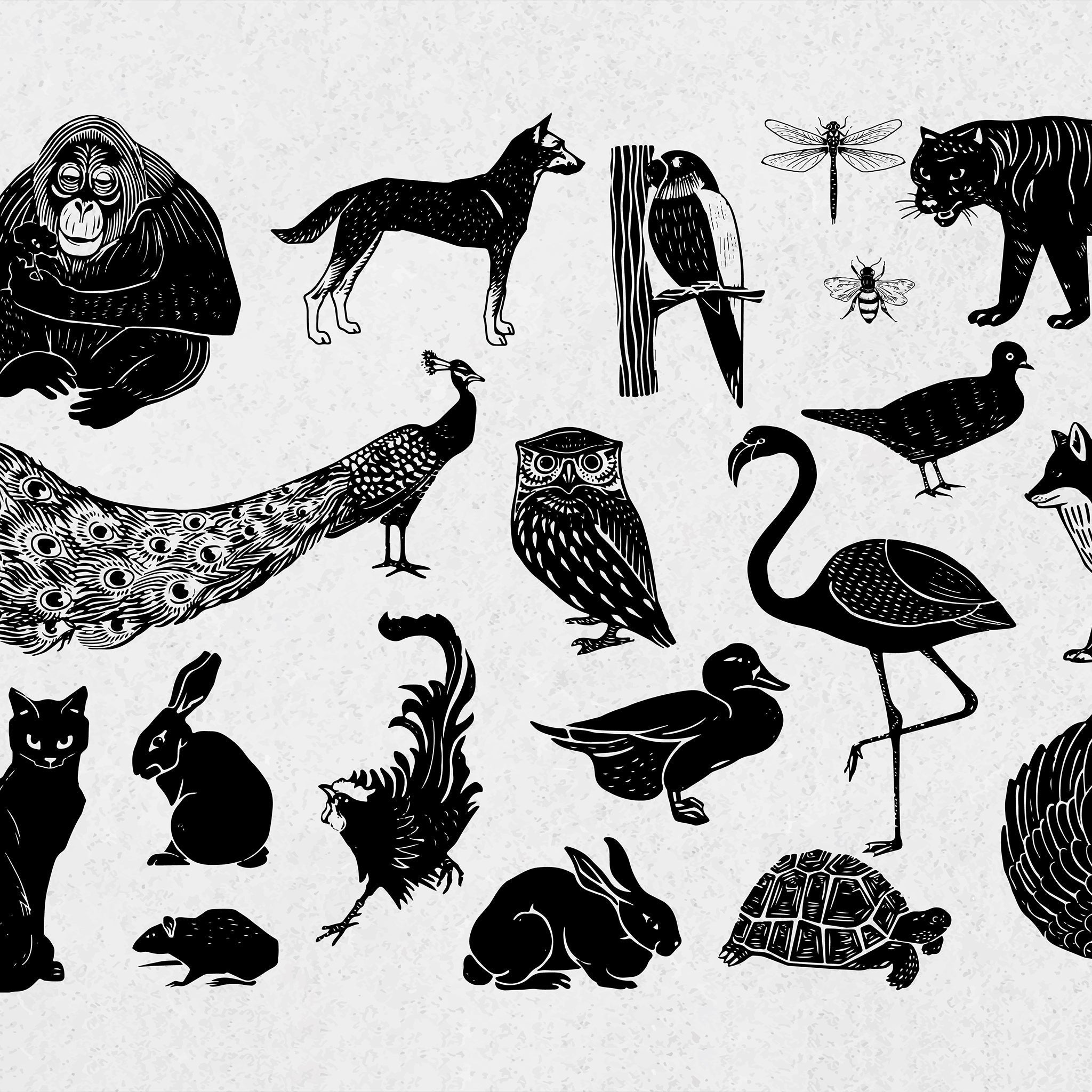 Los animales como símbolos: entre la representación y el uso.